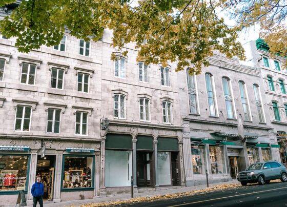 Image is for Frédéric Murray