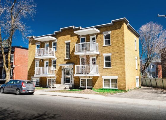 Groupe Murray founder Frédéric Murray at Immeubles Murray heritage property Quebec City